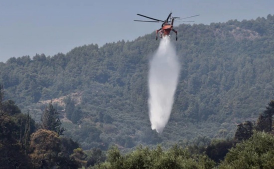 希臘森林火災