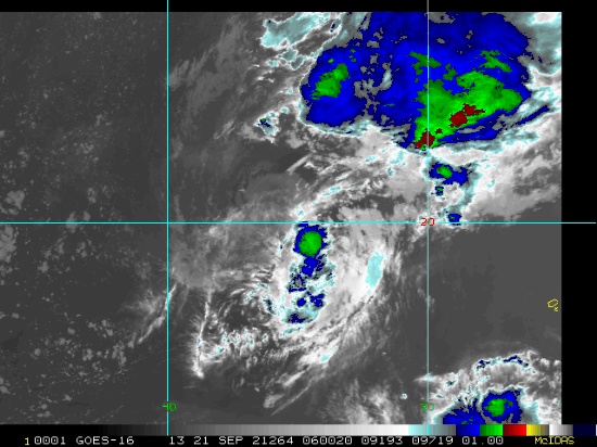 熱帶風暴“羅絲”