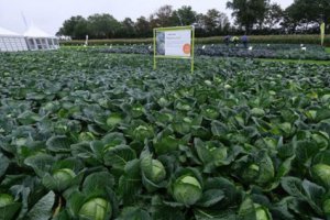 從印度到美國(guó) 農(nóng)民正在應(yīng)對(duì)“后世界末日”的糧食危