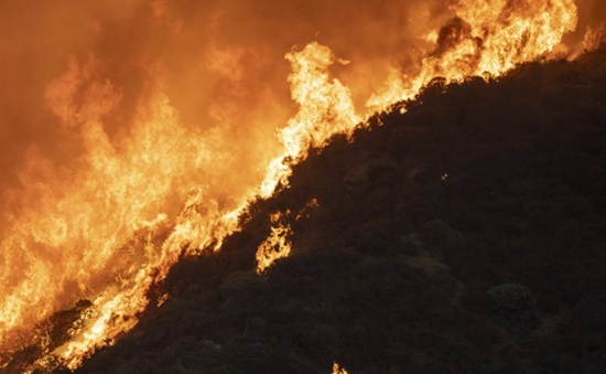 氣候變化是美國西部火災(zāi)的主要原因
