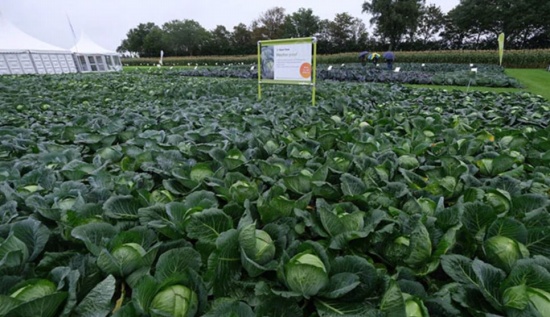 農(nóng)民正在應對“后世界末日”的糧食危機
