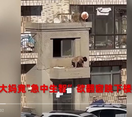 小區(qū)被封大媽欲翻窗跳樓出門