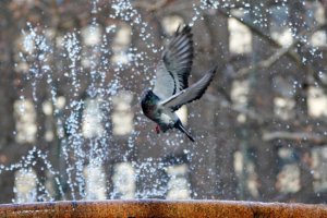 美國寒潮導致部分學校停課