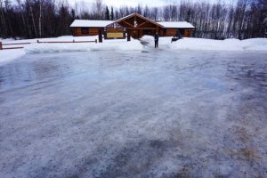 向氣候變化致敬 阿拉斯加第50屆Iditarod狗拉雪橇比賽