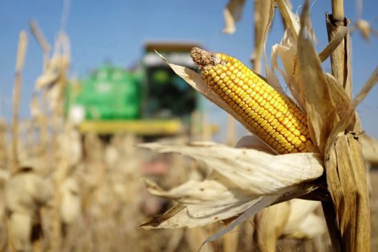 援助組織表示,不要將俄羅斯排除在 G20 之外,著眼于糧食危機。