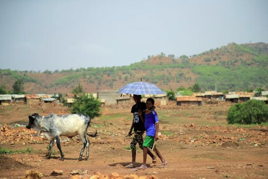 人權(quán)組織指責(zé)埃塞俄比亞地區(qū)部隊進行種族清洗