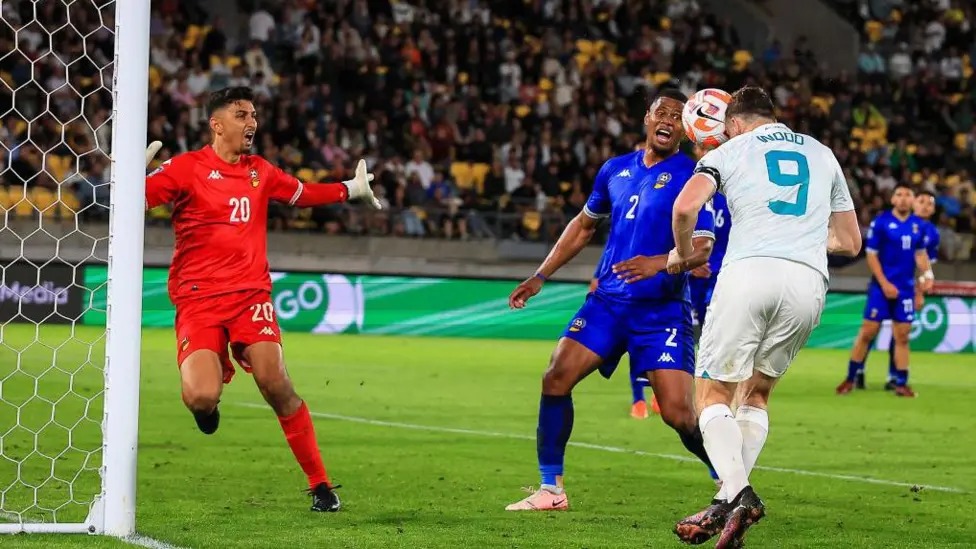 克里斯·伍德對陣斐濟隊進球