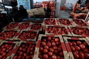 美國對(duì)墨西哥新鮮番茄征收17%關(guān)稅