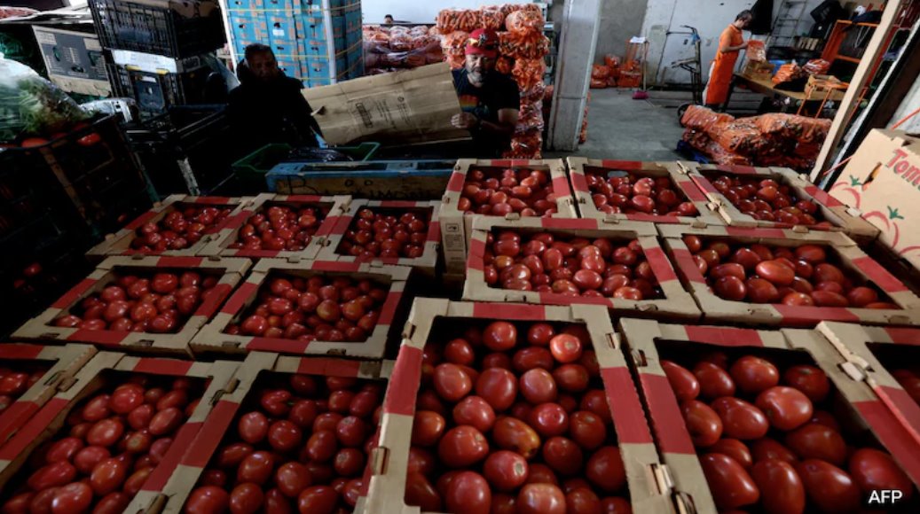 墨西哥周一表示,正在與番茄生產商合作,以限制17%關稅的影響。