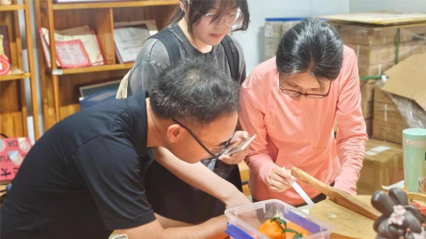 浙江萬里學(xué)院暑期社會實踐活動