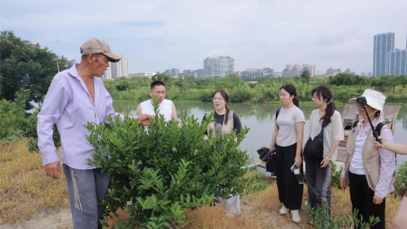 浙江萬里學(xué)院暑期社會實踐活動
